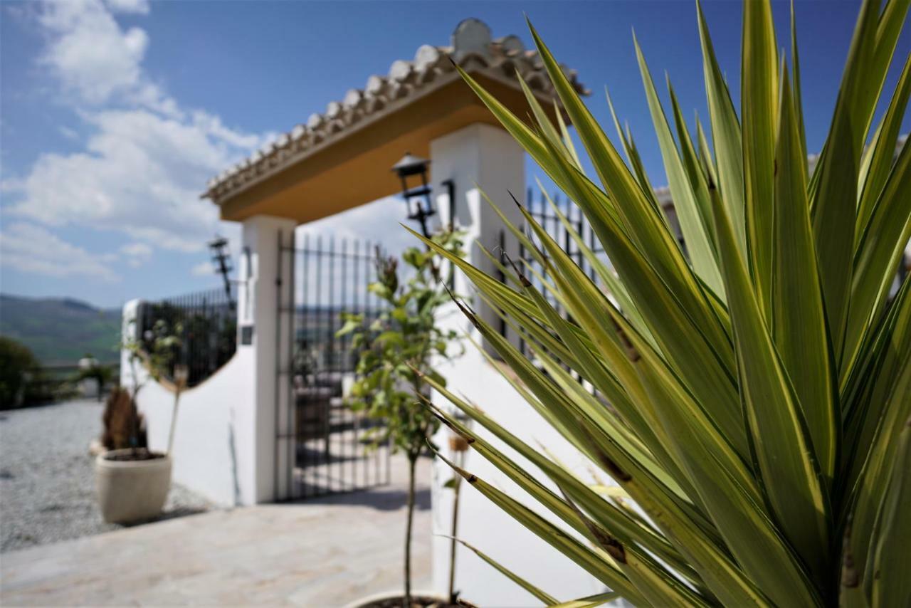 Bed and Breakfast El Amparo Alhama de Granada Exteriér fotografie